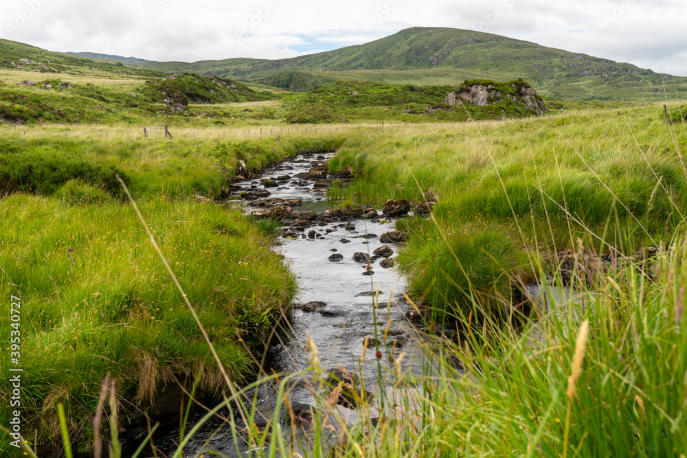River in the irish fields, green summer woodland and creek