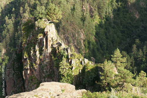 View of Caucasian summer mountains with Pinus kochiana pine on Dzhily-Su plateau photo