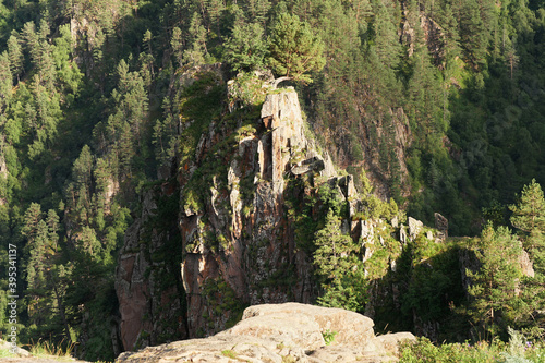 View of Caucasian summer mountains with Pinus kochiana pine and herbs on Dzhily-Su plateau photo