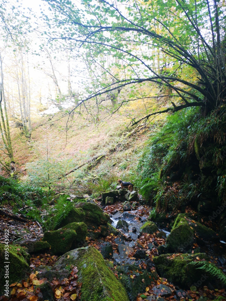 Cascada natural en Gorbeia. Cascada natural en Gorbeia.