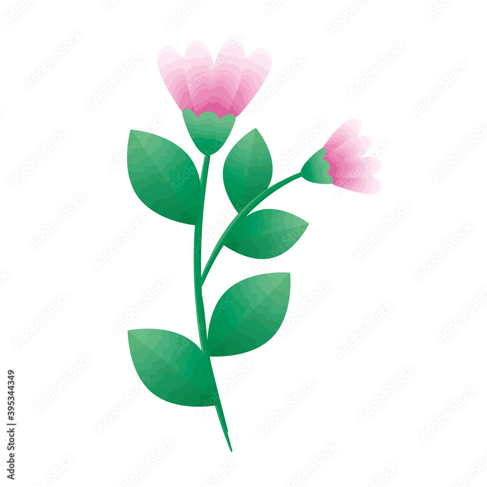 beautiful pink roses flowers and leafs decorative icons vector illustration design