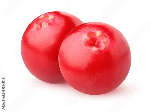 Foto lingonberry isolated on a white background.