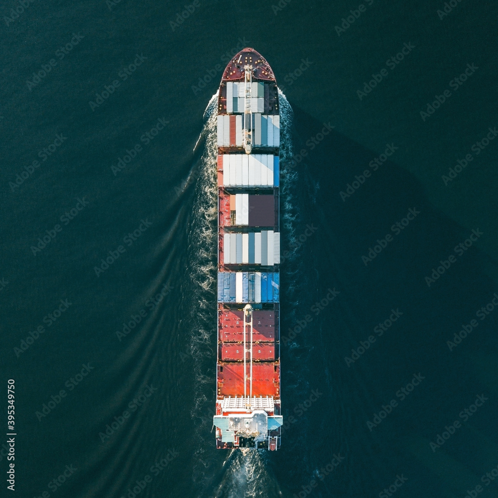 Container ship sailing in sea