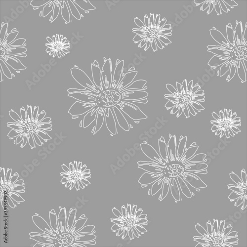 seamless pattern vector flower on light grey background. a delicate drawing
