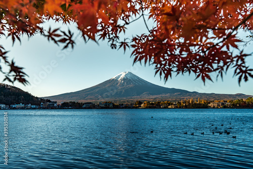 Colorful Autumn in Mount Fuji, Japan - Lake Kawaguchiko is one of the best places in Japan to enjoy Mount Fuji scenery of maple leaves changing color giving image of those leaves framing Mount Fuji. © yaophotograph