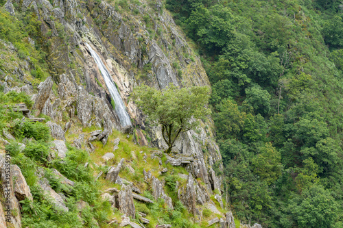 Giant waterfall in the background and tree in the foreground. Frecha da Mizarela photo