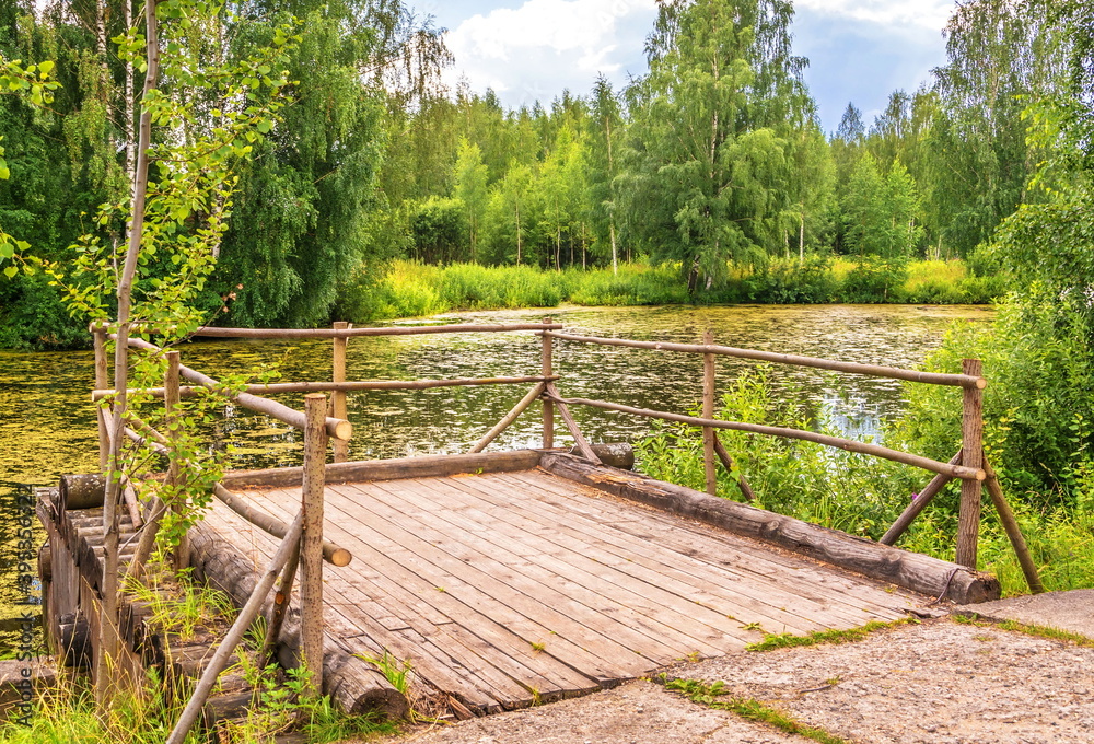 Wooden bridge on the shore of  forest lake overgrown with duckweed