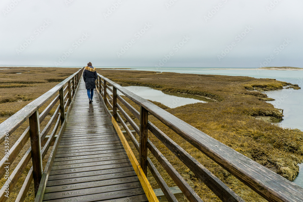 Bass Hole Boardwalk at Grays Beach in Cape Cod, Massachusetts, on a cloudy day