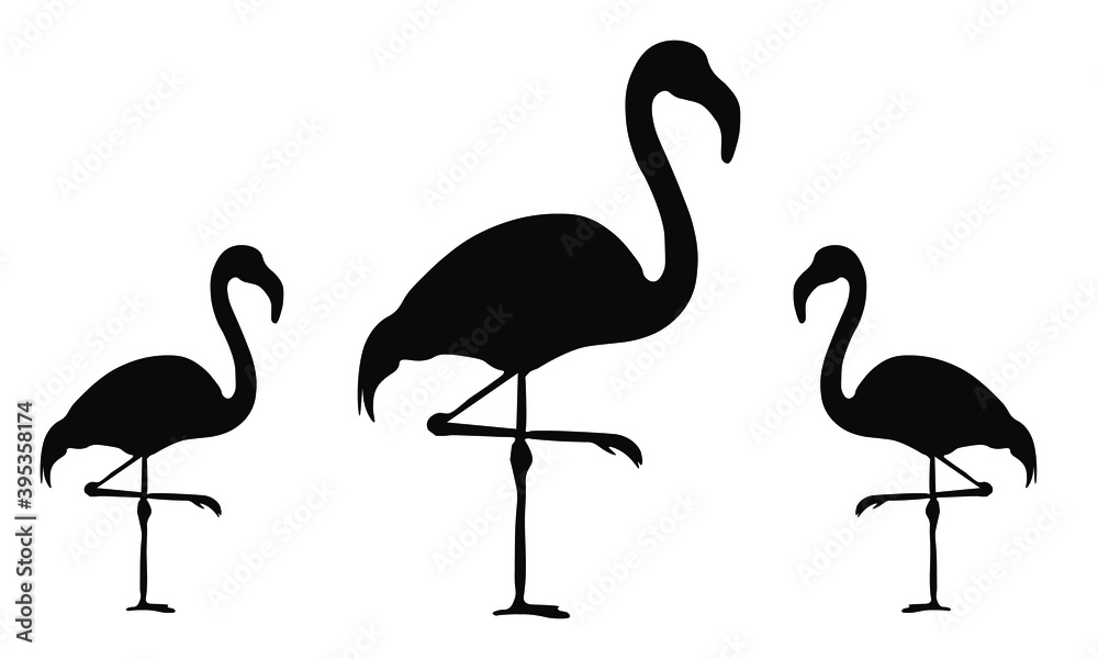 flamingo vector