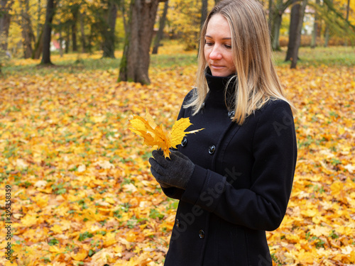 Young woman picks up fallen colorful autumn leaves. Girl collect yellow leaf. woman walking in the autumn Park © Dmitri