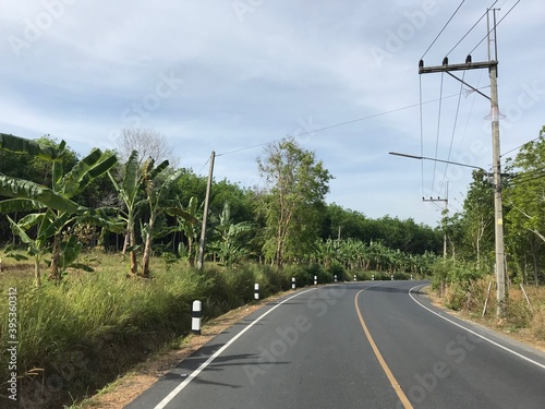 Banana tree lined road in Phuket, Thailand