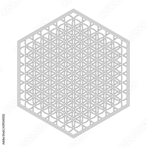 vector icon with ancient symbol flower of life for your project