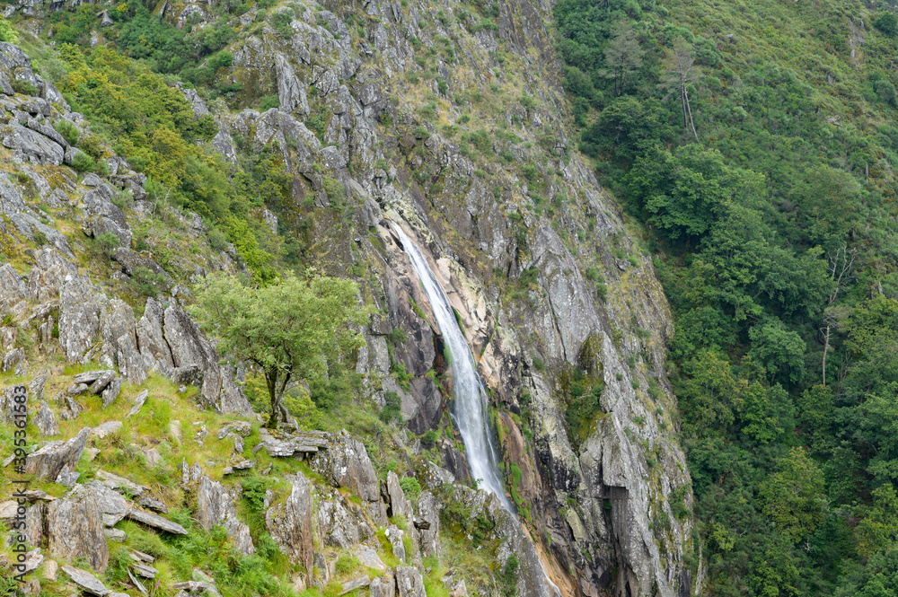 Giant waterfall in the background and tree in the foreground. Frecha da Mizarela