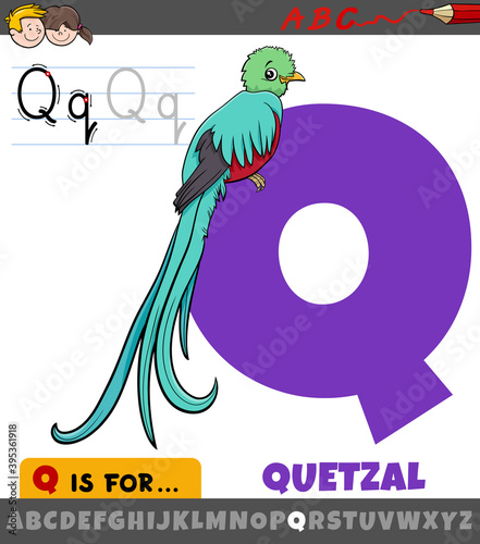 letter Q from alphabet with quetzal bird animal character