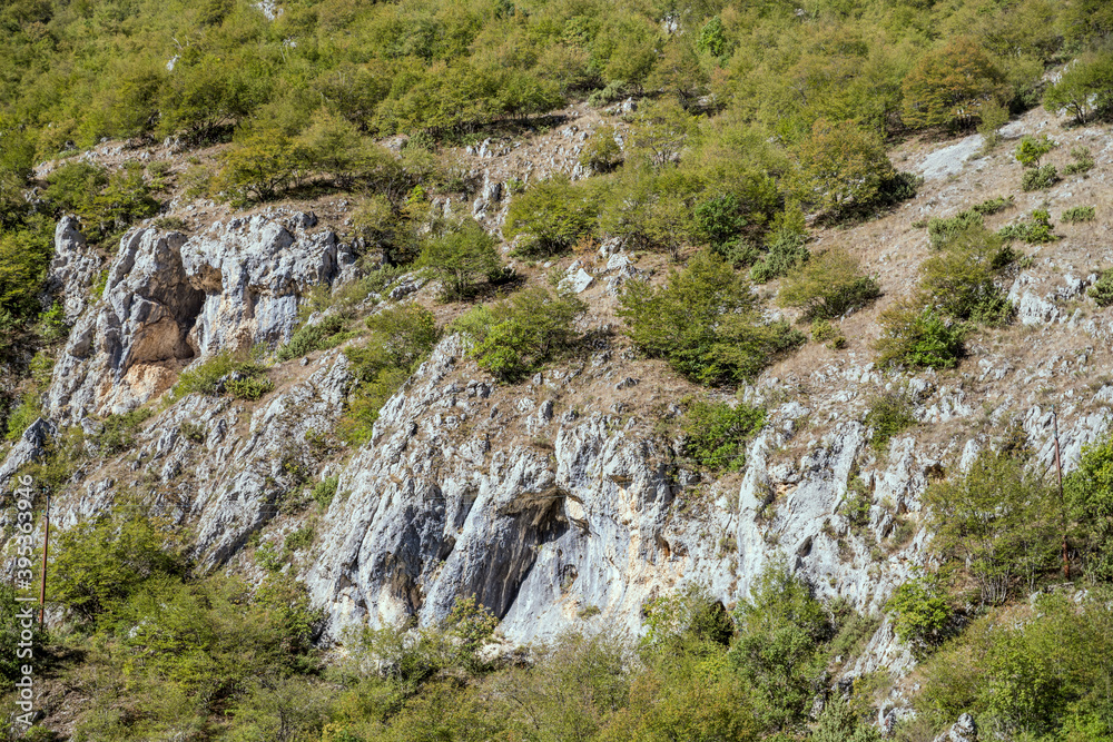 trees on harsh rocky slopes at Sagittario gorge, Abruzzo, Italy