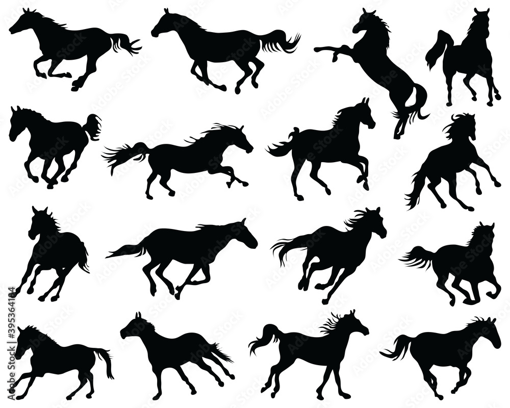 Black silhouettes horses on a white background