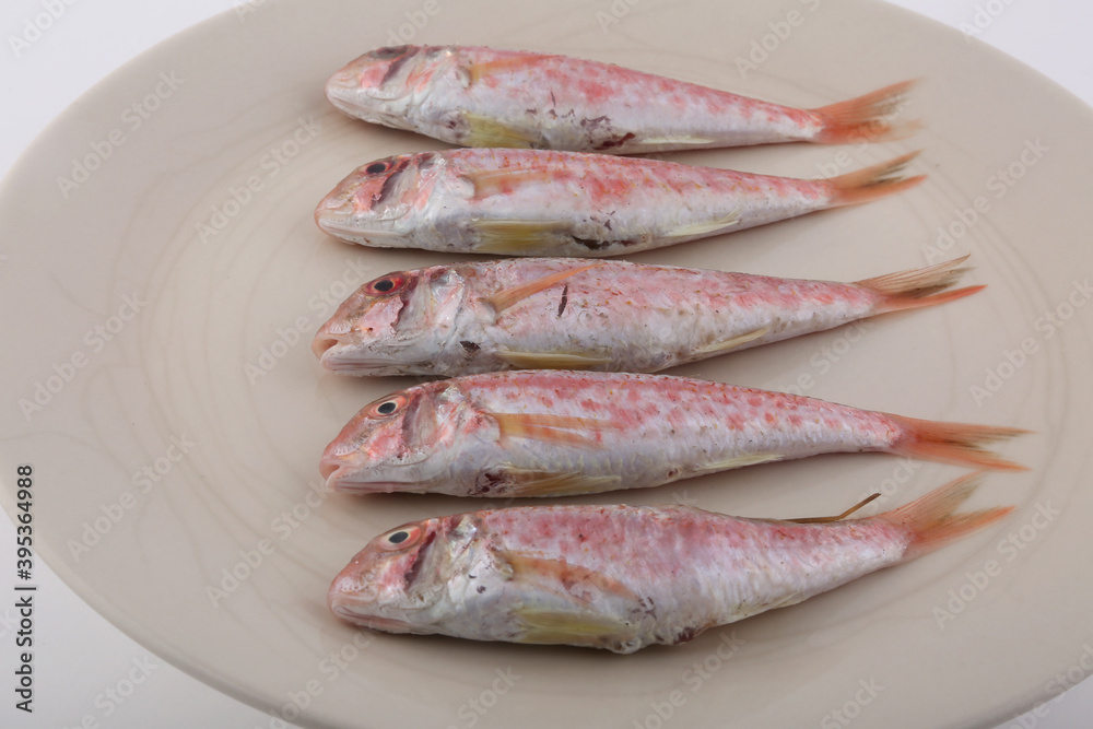 red mullet fish