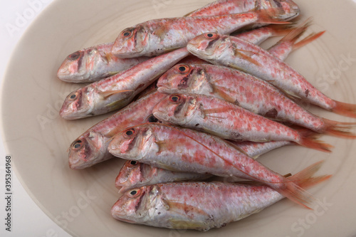 red mullet fish