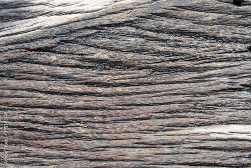 background of old wood grain