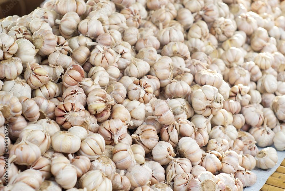Lots of organic garlic on the stalls at thailand market Lots of organic garlic on the stalls at thailand market
