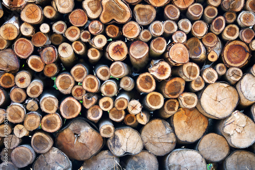 log trunks pile