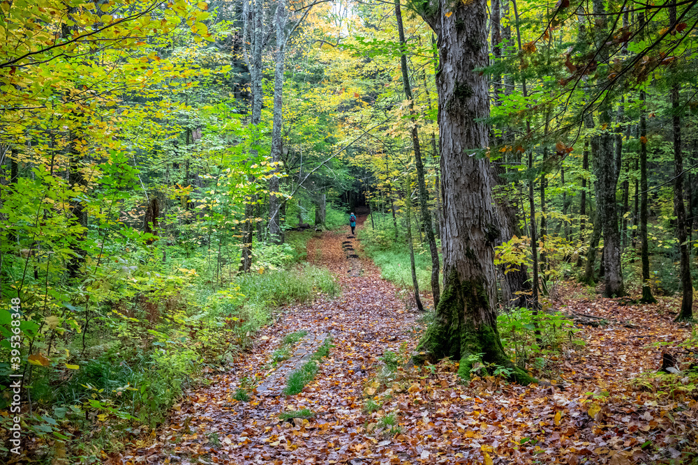 Fall Hiking in the Upper Pennisula Michigan. Fall Hiking in the Upper Pennisula Michigan.