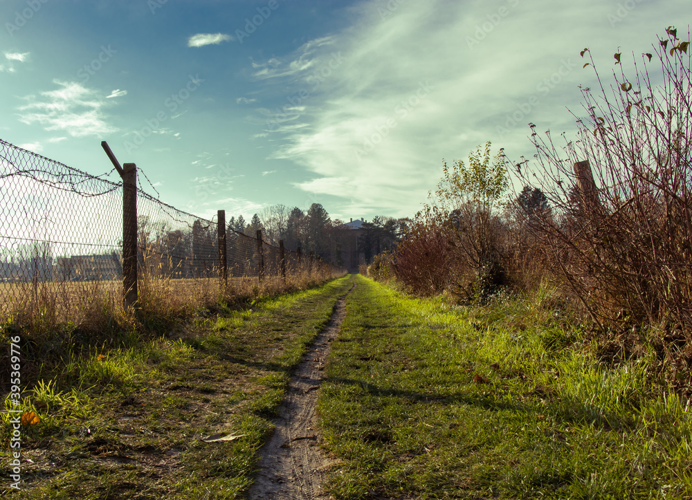 Foothpath covered with green vibrant grass Foothpath covered with green vibrant grass