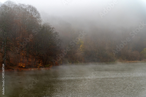 Fog covers the forest by the blue lake in Kabardino-Balkaria. © Yakov