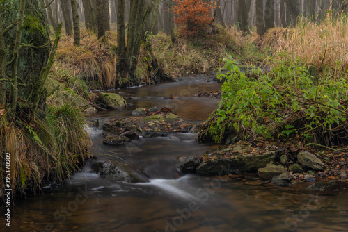 Fototapeta Naklejka Na Ścianę i Meble -  Olsovy creek near Petrovice village in Krusne mountains in autumn morning
