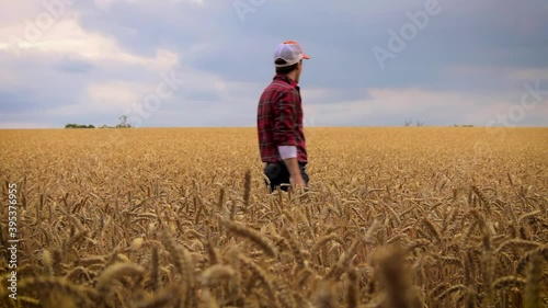 farmer inspects his wheat field before harvest