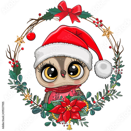 Cartoon Owl in Santa hat on a white background