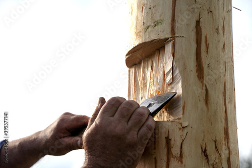 an axe in the hands of a carpenter cuts a log