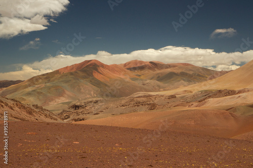 Desert landscape high in the Andes mountain range. View of the brown land and colorful mountains in Laguna Brava, La Rioja, Argentina. 