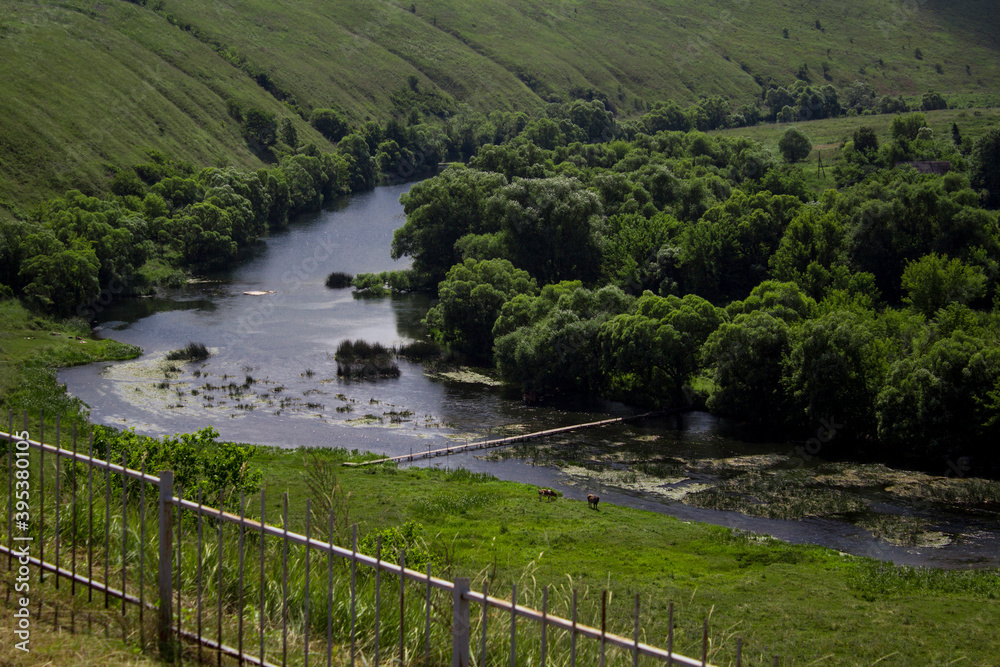 Fototapeta premium view of the river