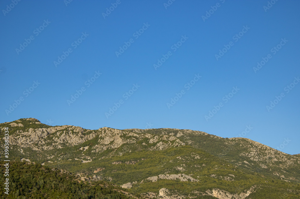 The mountain is covered with pine forest. Picturesque mountain landscape. Montenegro, Europe, Balkans The mountain is covered with pine forest. Picturesque mountain landscape. Montenegro, Europe, Balkans