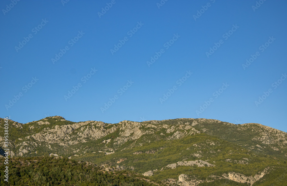 The mountain is covered with pine forest. Picturesque mountain landscape. Montenegro, Europe, Balkans