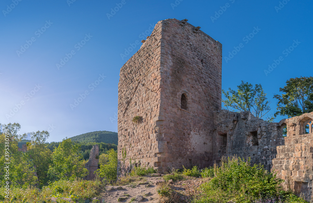 Heiligenstein, France - 09 01 2020: View of the ruins of the Landsberg Castle