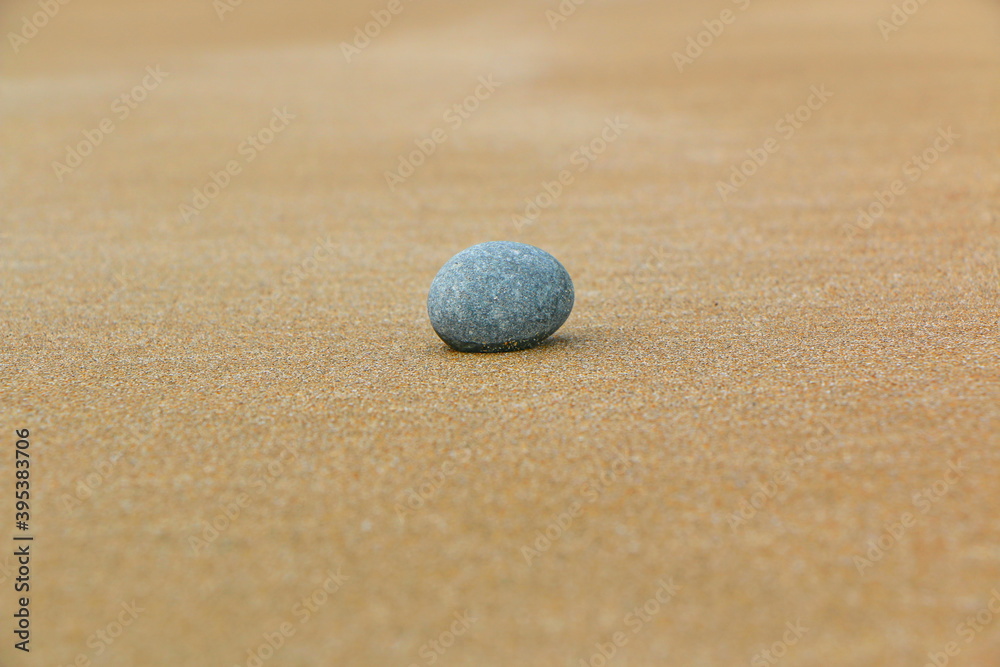 Sandy beach with stones algea and wood Sandy beach with stones algea and wood