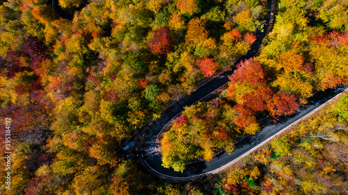 Birds eye view of winding forest road in the mountains. Colourful landscape with rural road, trees with yellow leaves.