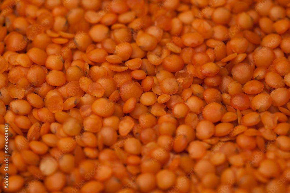 close-up raw lentil kernels close-up raw lentil kernels