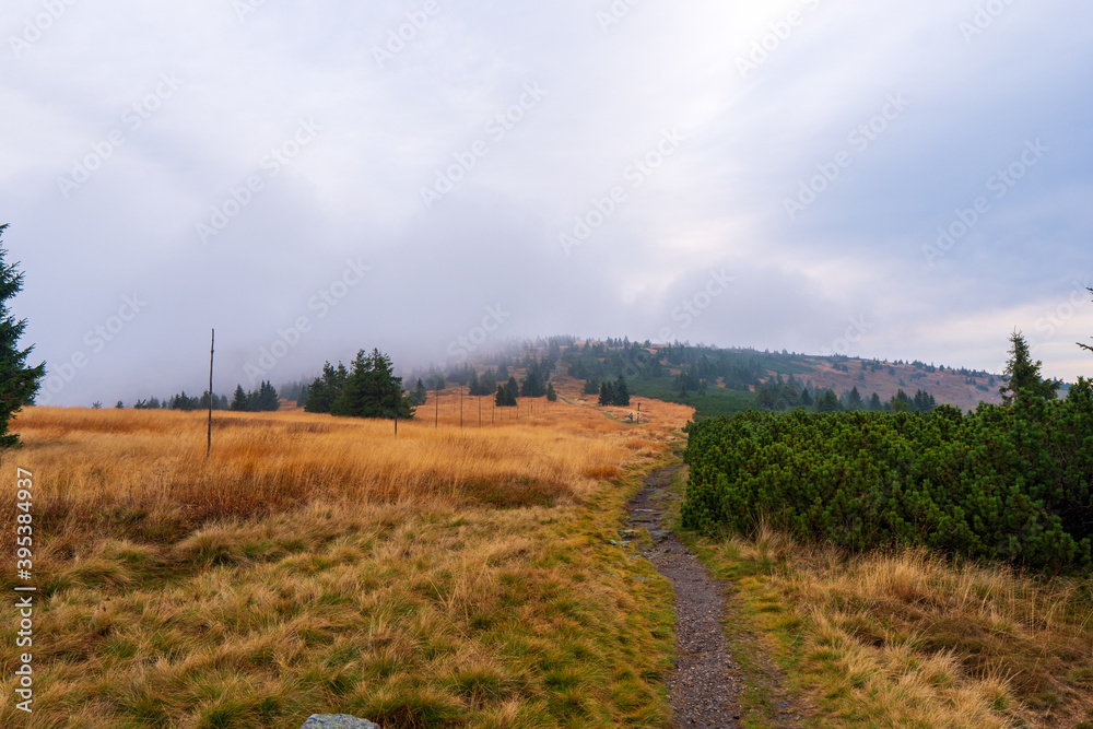 Mountain yellow grass on meadow landscape cloudy day in autumn day. czech jeseniky mountain