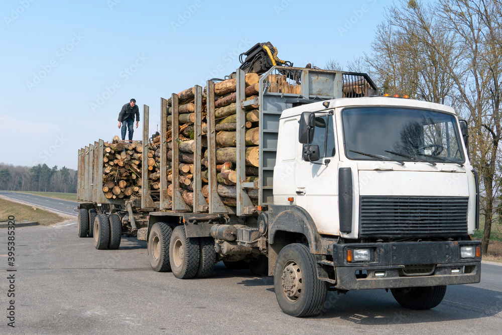 Transportation of wood on a truck with a trailer on the highway. Industrial truck for transporting timber. Renewable natural resources. timber machine. Timber export and shipping concept.