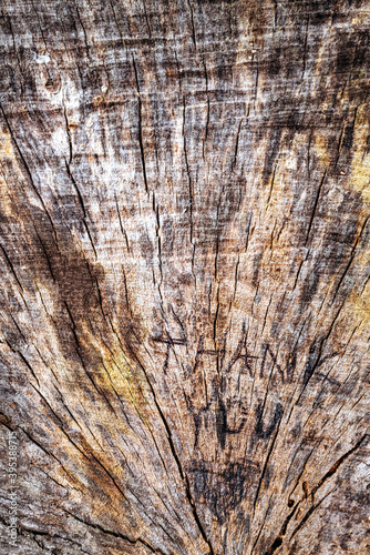 Wood background with words 'Thank You' scratched into it photo