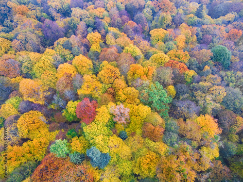 Aerial view of beautiful landscape of Mazury region during autumn season
