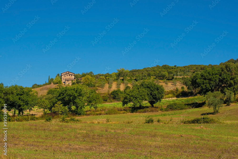 Fototapeta premium The green landscape around the historic village of Murlo, Siena Province, Tuscany, Italy 