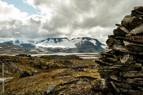 beautiful landscape, flowers and sheep at Jotunheimen National Park, Norway Scandinavia © Flo129