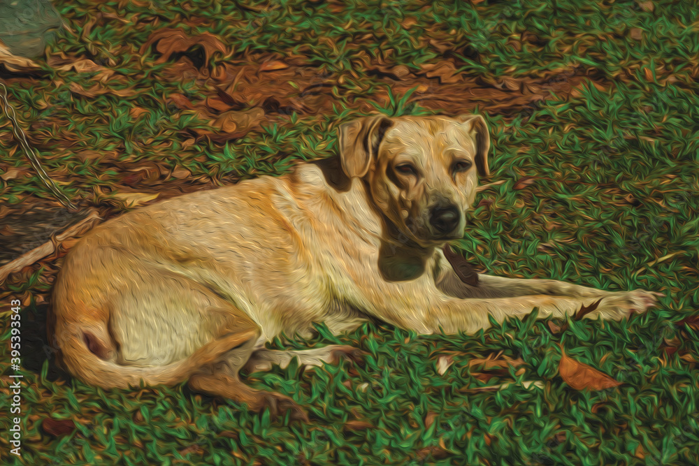 Cute labrador retriever breed dog sitting on green lawn, guarding a farm near Bento Goncalves. A friendly country town in southern Brazil famous for its wine production. Oil Paint filter.