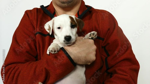 Man in in an orange sweater holds a puppy in his arms. photo