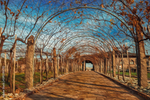 Stone pathway and autumnal arbor covered by vineyard branches with dried leaves, from winery near Bento Goncalves. A country town in southern Brazil famous for its wine production. Oil Paint filter. photo