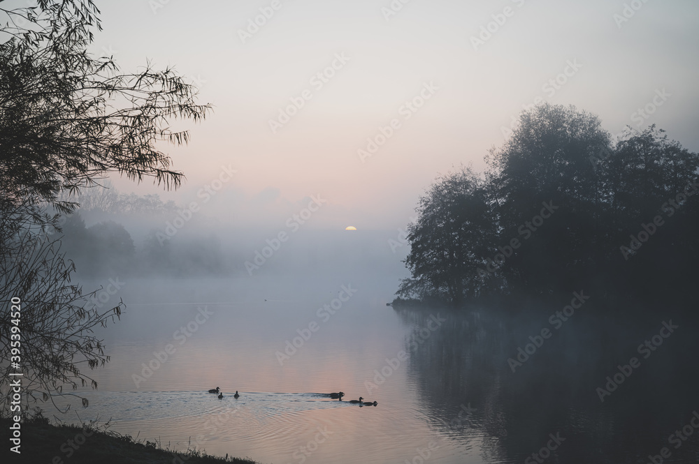 Fototapeta premium Nebel über See; Obersee; Bielefeld